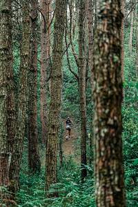 BIB: 
                            <button type="button" onclick="openModal(25235618)" class="btn btn-primary btn-sm float-right btn-popup" data-toggle="modal" data-target=".modal-high-quality">
                        <i class="fas fa-shopping-cart"></i> Add to Cart
                    </button>
                                            <button type="button" onclick="isThisMe(25235618, true)" class="btn btn-success btn-sm float-right btn-popup btn-isme hidden" data-toggle="tooltip" data-placement="bottom" title="นี่คือรูปของคุณใช่ไหม คลิกที่นี่เพื่อเอาเข้าอัลบั้ม">
                        <i class="fas fa-plus"></i> Add to album
                    </button>
                    <button type="button" onclick="isThisMe(25235618, false)" class="btn btn-warning btn-sm float-right btn-popup btn-isnotme hidden">
                        <i class="fas fa-ban"></i> Remove from album
                    </button>